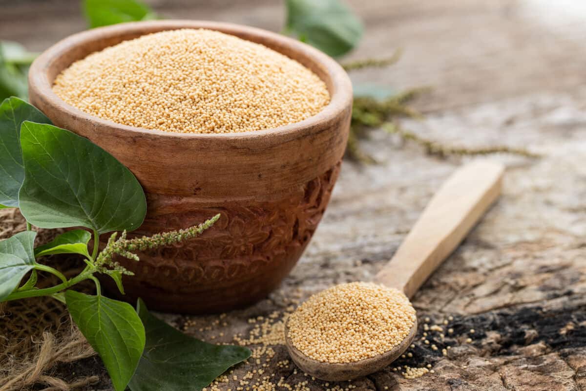 A wooden bowl and spoon full of amaranth gr.