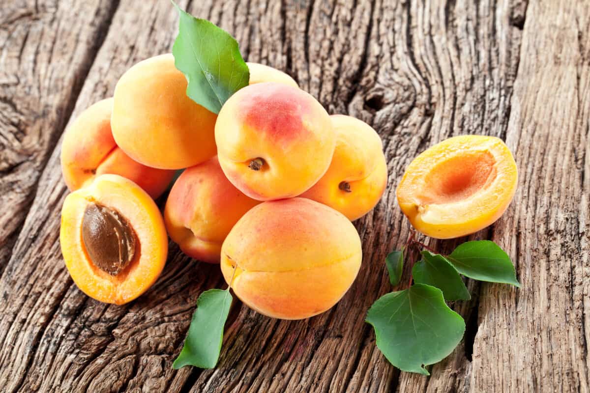 A pile of 8 to 10 apricots, most whole and one cut in half to show the insides and the st.