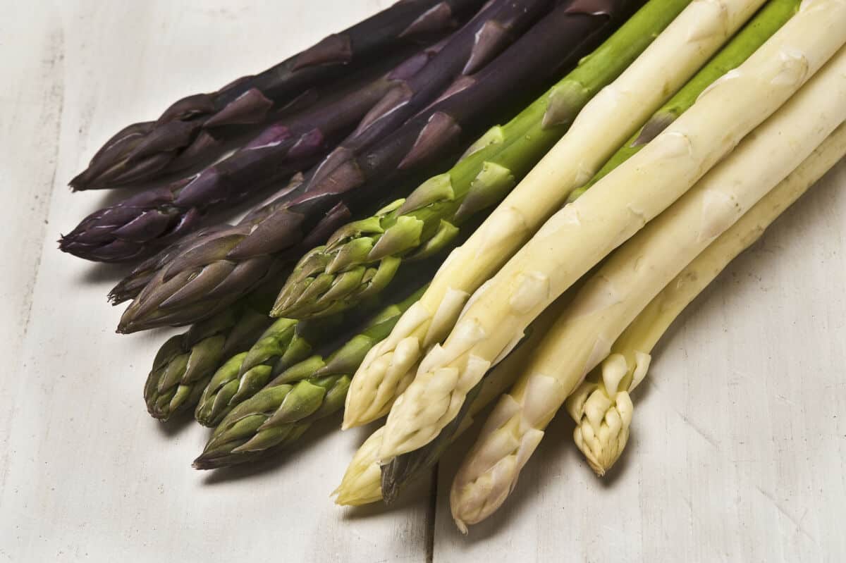 Close up of the tips of some purple, green, and white aspara.