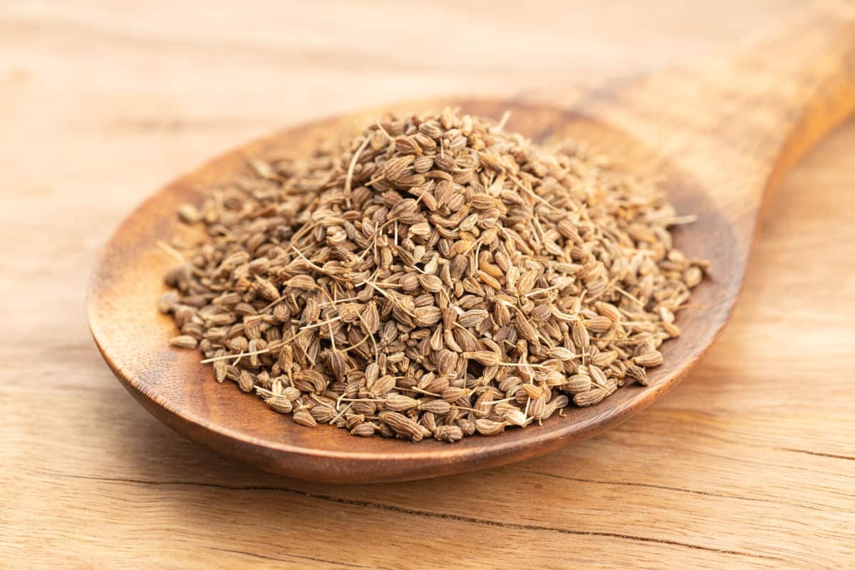 Close up of a wooden spoon full of anise s.