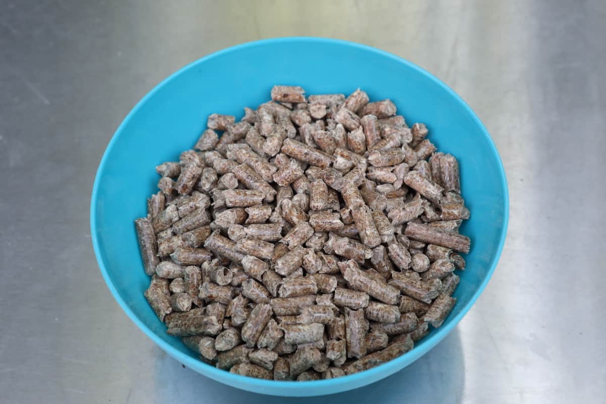 A blue plastic bowl of wood pellets.