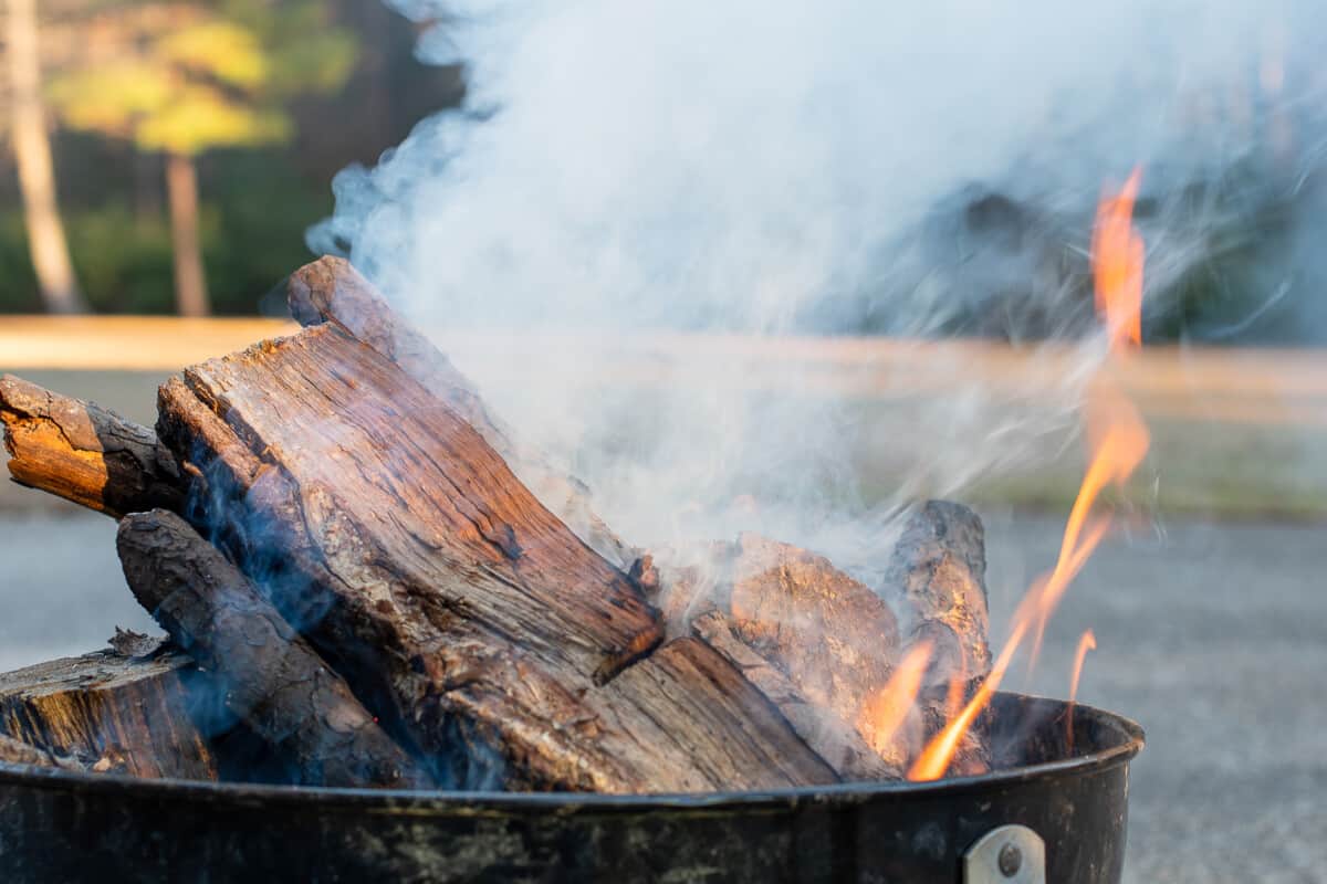 Wood burning in a firepit.